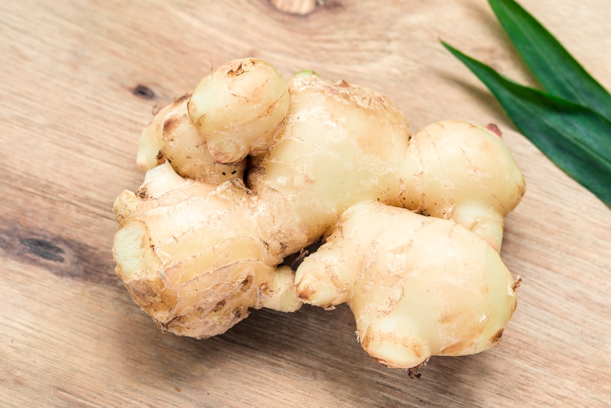 Cúrcuma - especia antiinflamatoria